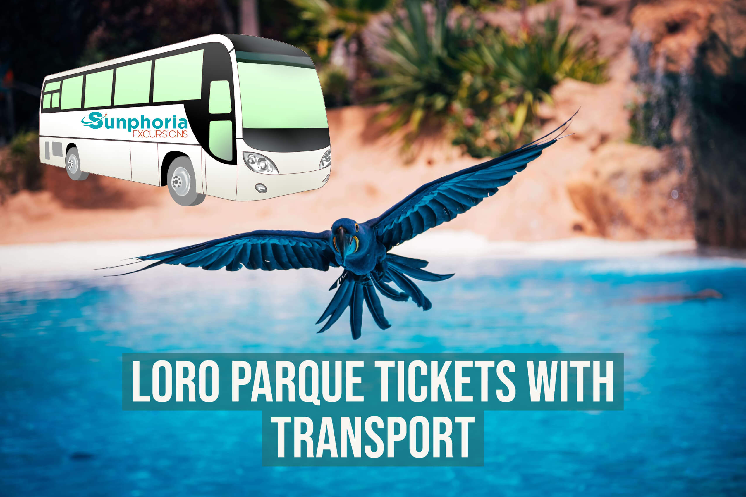 Loro Parque Tickets with Transport