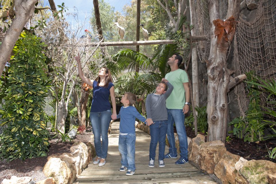 Family at Jungle Park Tenerife