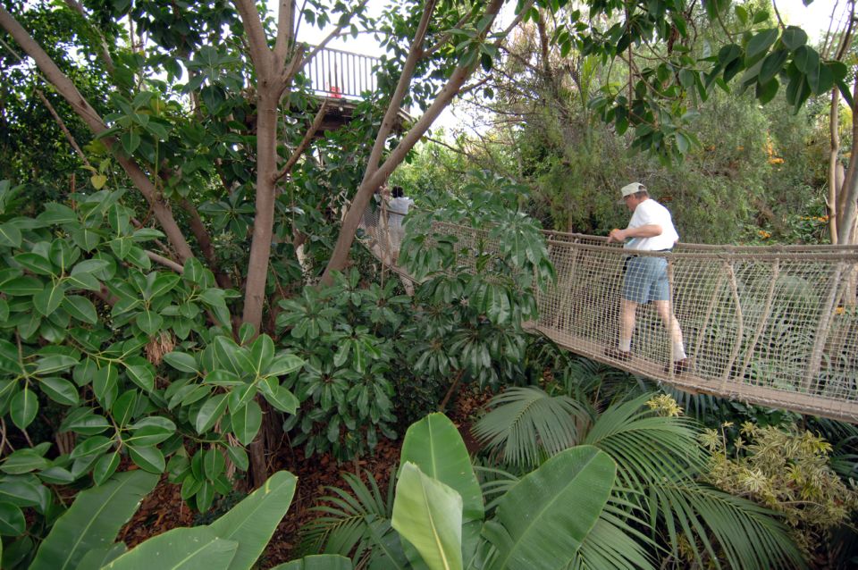 Rope Bridge Jungle Park Tenerife